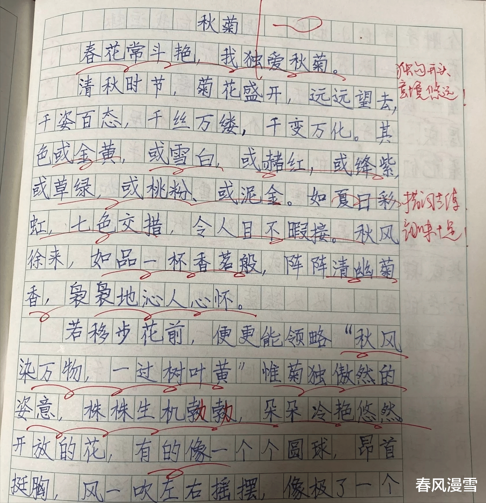 家长晒三年级学霸满分作文, 文笔酣畅, 字迹美观, 堪比“印刷体”