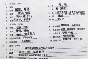 外国初中“中文试卷”火了, 中国学生爆笑: 像极了做英语题的我