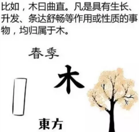 根据八字看你大学适合学什么样的专业