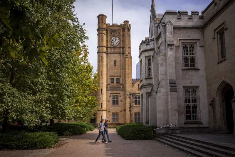 澳洲的大学迫切希望接回留学生, 每两到三周接回上千人