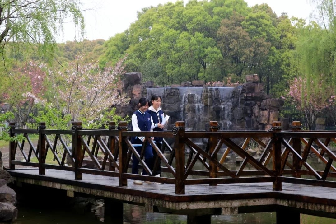 好美! 原来金山春日里的校园长这样, 来看看有没有你的学校