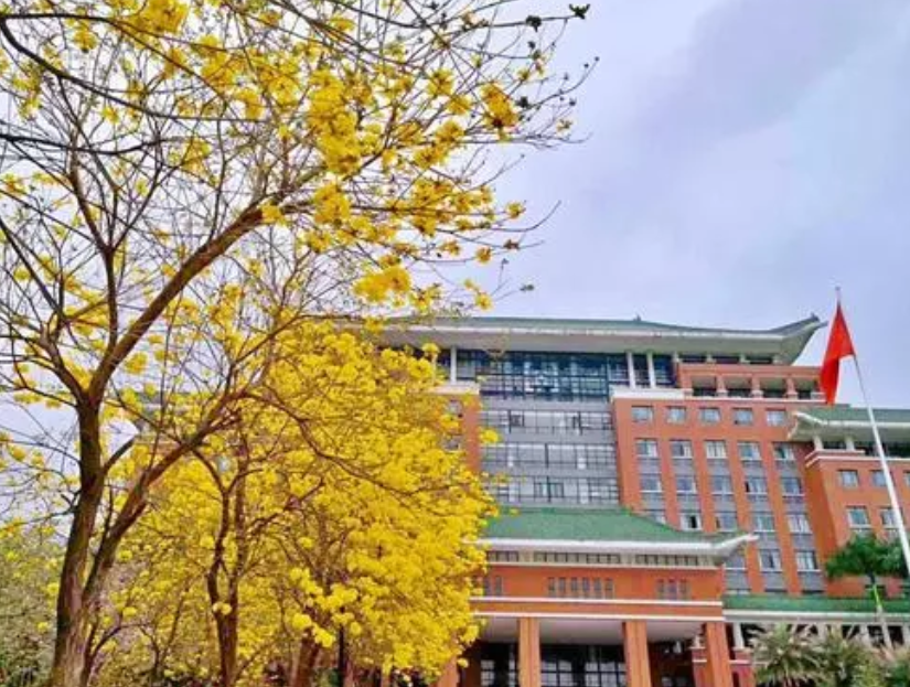 广东“退步”明显的大学, 曾经是全国百强, 却没能入选双一流大学