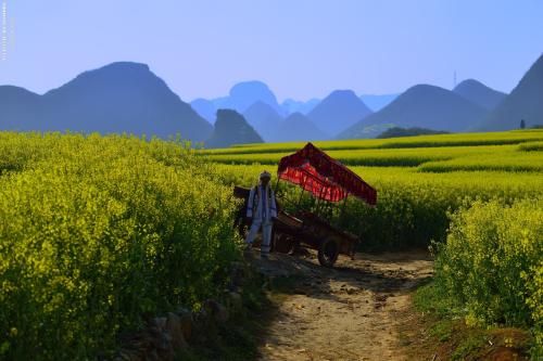 山东新增一所大学, 高中生有福了, 当地人∶喜出望外