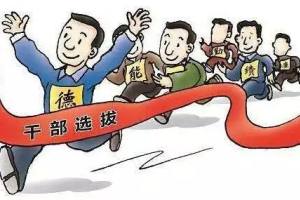2021年度四川省选调优秀大学毕业生到基层工作已进入资格审查人员名单