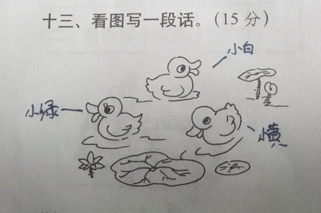 小学生“倒第一”试卷长啥样, 老师看了想罚站, 家长看了捶胸顿足