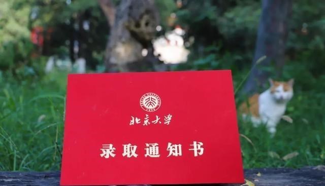 高考被大学录取后, 避免在朋友圈“晒”通知书, 隐患真不少