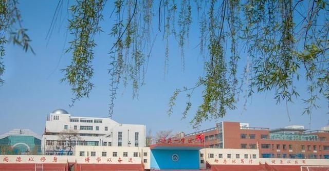 这三所中学被称为保定中学三剑客, 实力强悍, 师资雄厚