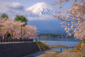 2021年申请日本留学热门专业大解析, 你最想读那个专业?