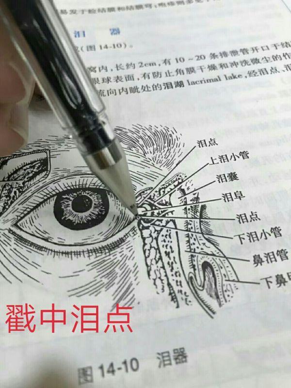 高中生物: 10张表搞定生物实验的试剂使用! 学霸都在用的方法