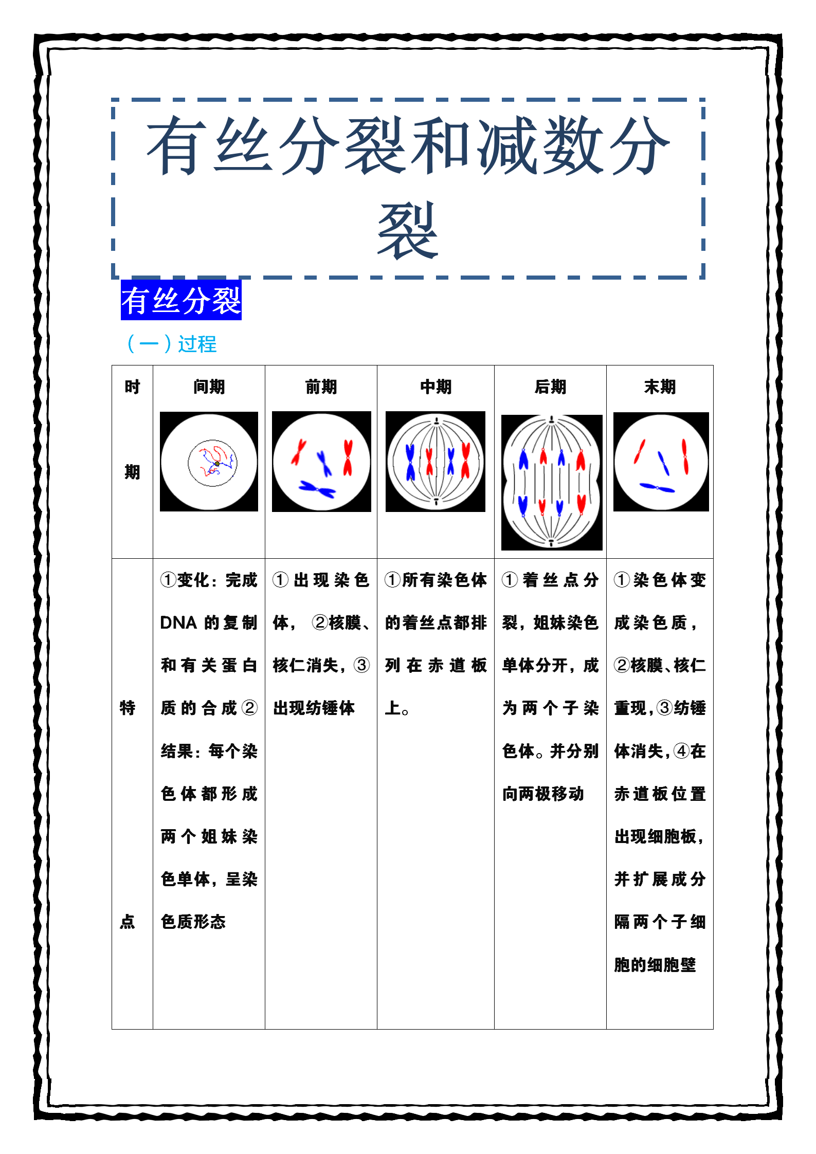 一篇文章顶上8节课! 
生物: 有丝分裂及减数分裂详尽分析!