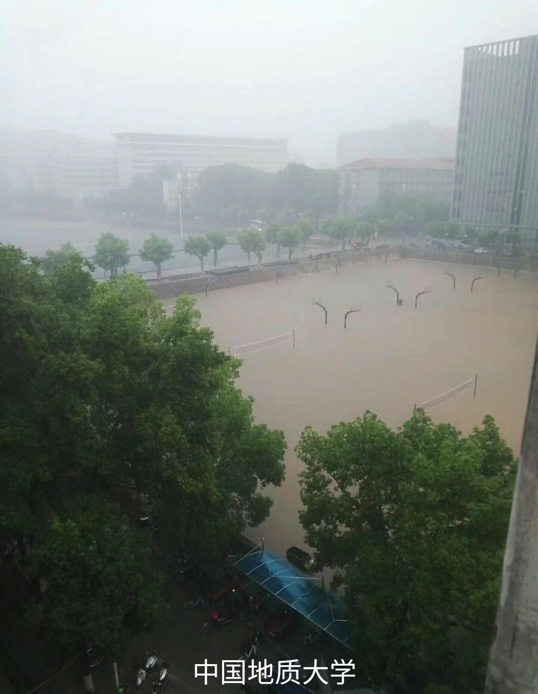 武汉暴雨, 各大高校花式成海