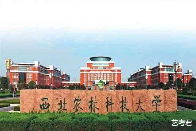 最低调的985大学2021年新增6省招录美术生, 录取成绩超出你的预想