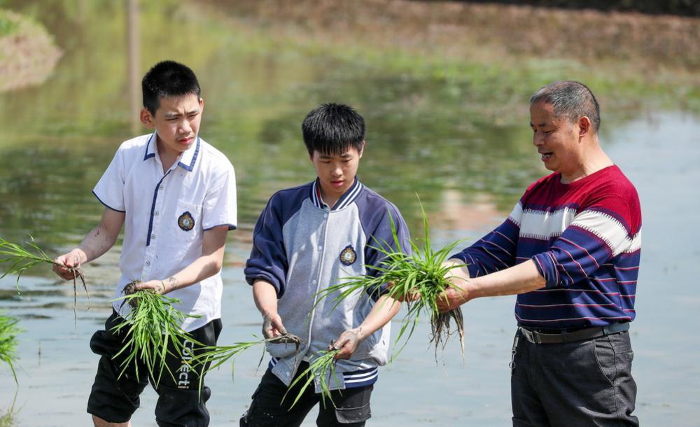 教育新融媒: 追赶六月骄阳, 奋斗青春理想, 送给高三学子