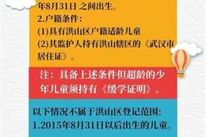 武汉市洪山区5月17日开放小学新生登记