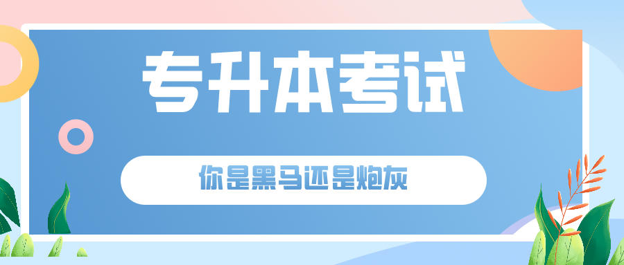 专升本考试, 你是黑马还是炮灰? 主要看这几点