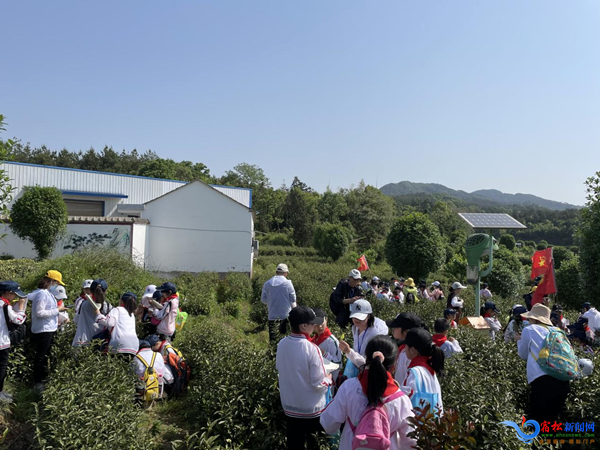 破凉中心小学开展科普体验活动