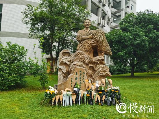 西南大学袁隆平塑像前 师生自发献上小白花表达追思