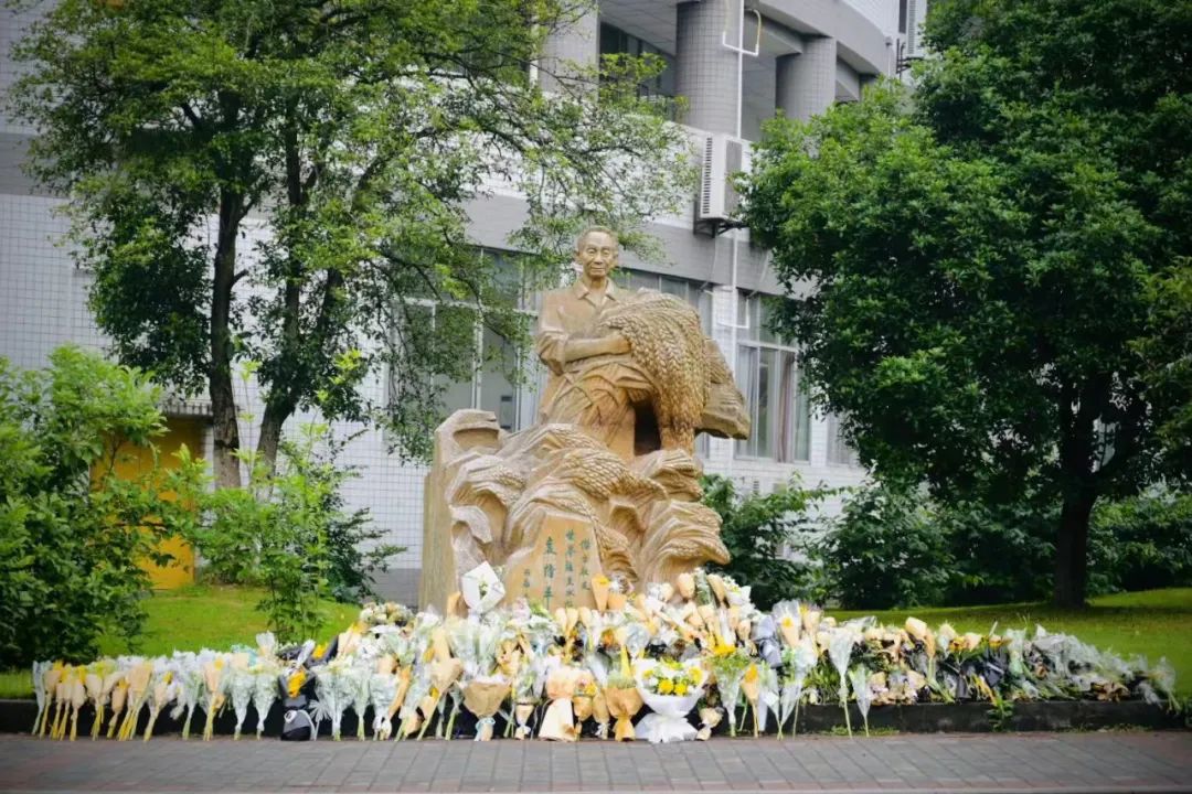 学校师生深切缅怀杰出校友袁隆平院士