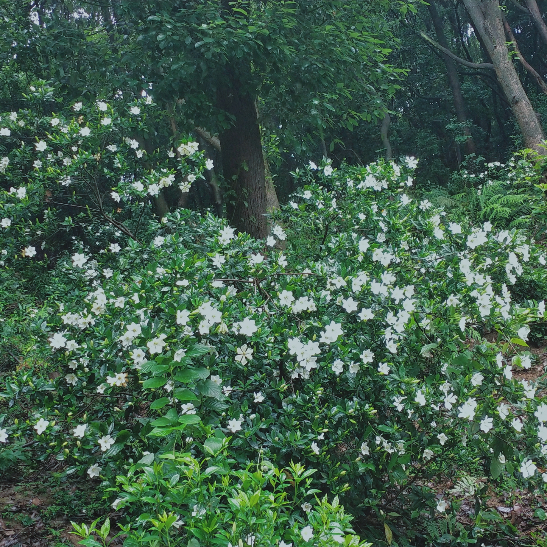 最平凡的一天