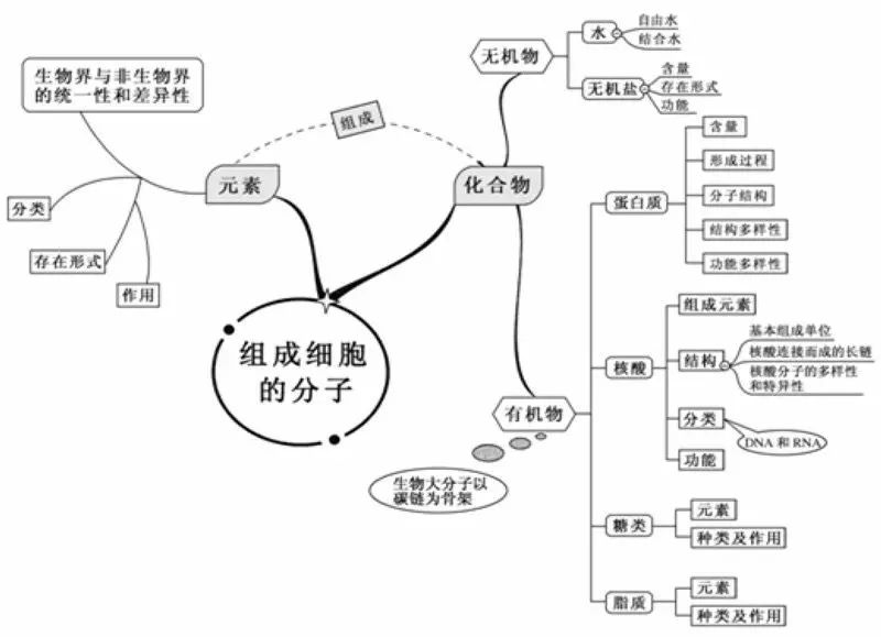 2021高考冲刺复习: 高考生物想拿高分, 只需看透这20张图!