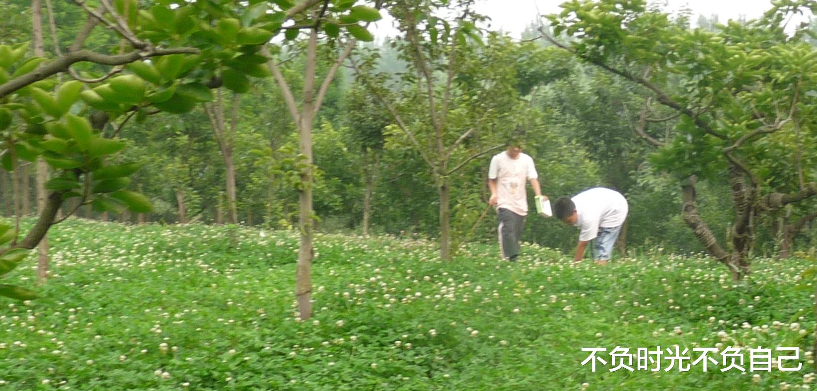 孩子初中, 学校该选公立还是私立, 太煎熬了