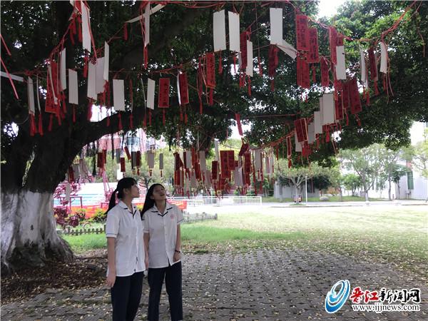 张张卡片传真情 季延中学暖心祝福高考生