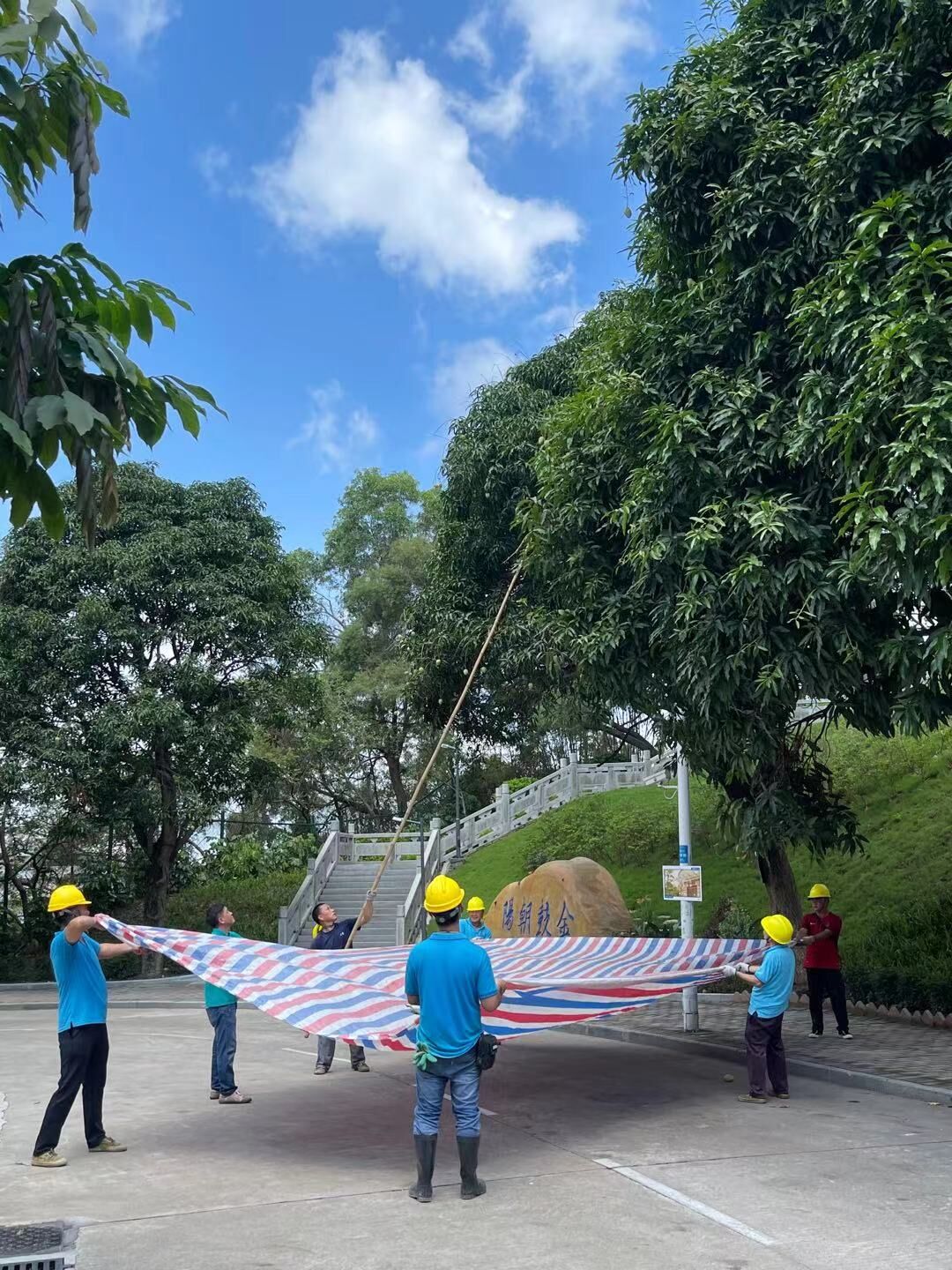 “头顶上的炸弹”成了美味！电子科大中山学院这样对付它们......