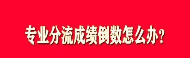 专业分流成绩倒数怎么办? 失去优先选专业的机会, 成功青睐努力者