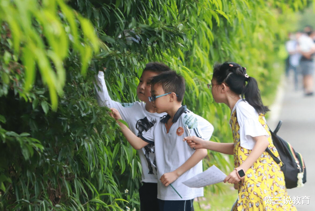 中小学“周六上课”已成定局? 教育部给出明确回应, 家长态度不一