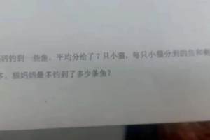 为了一道小学二年级数学题, 家长上网求助, 惊动武汉市教育局