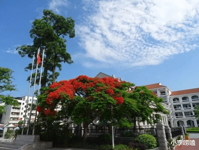 优秀! 福建省有18名学生保送清北, 其中8名学生来自同一所中学