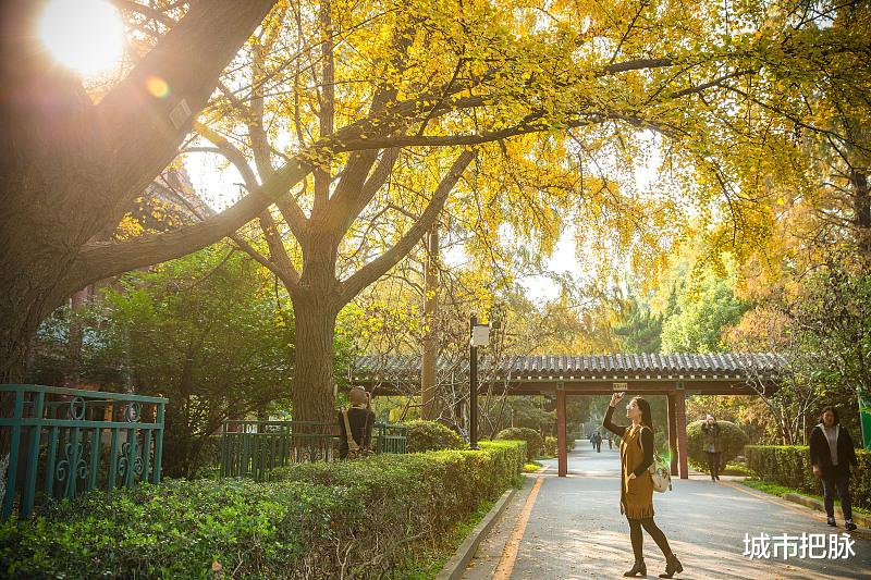 从学院到大学, 从民办到公办, 南师大中北学院的学生们在顾虑什么