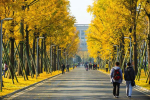 北京3所“袖珍大学”, 真正浓缩的才是精华, 有没有你的理想学府