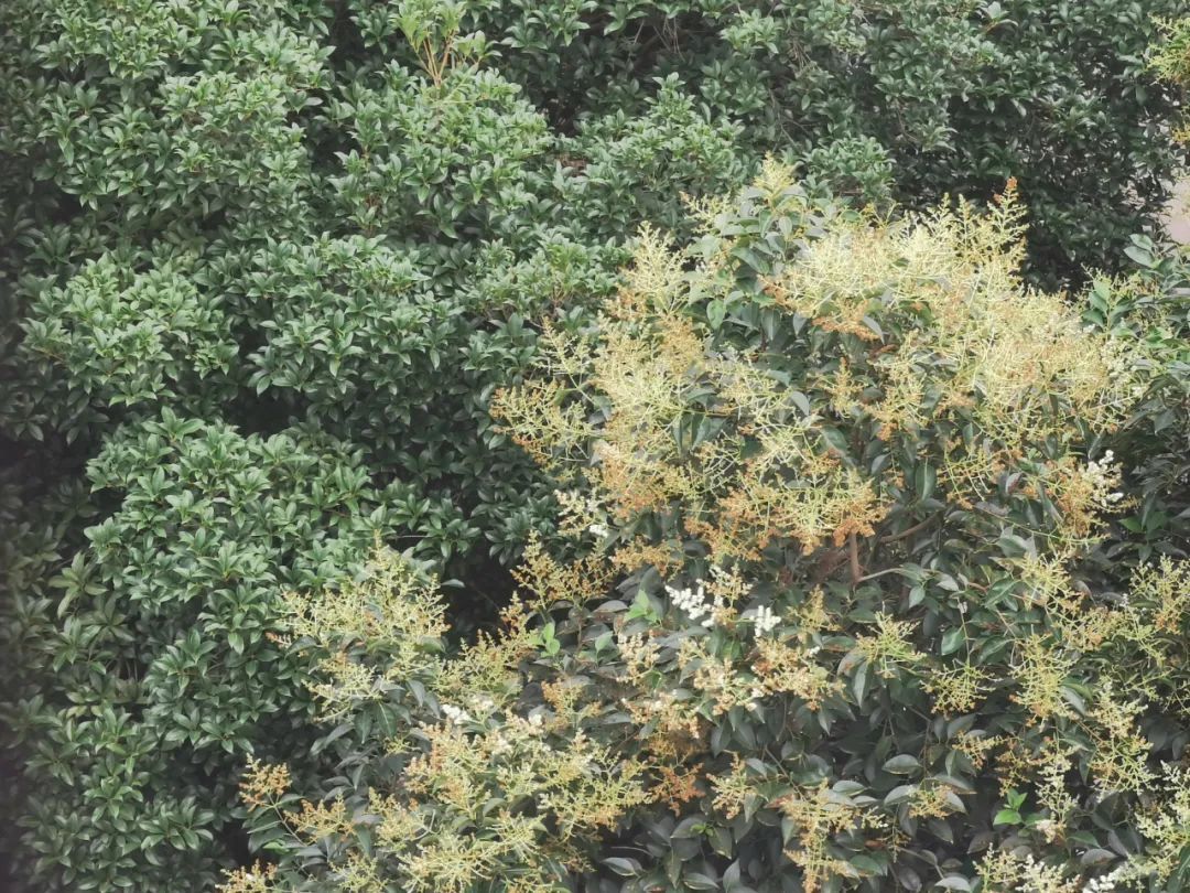 明天中考开考将有中到大雨