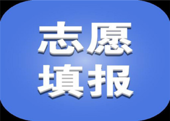 济南大学、青岛大学、烟台大学历史沿革, 优势专业, 报考推荐