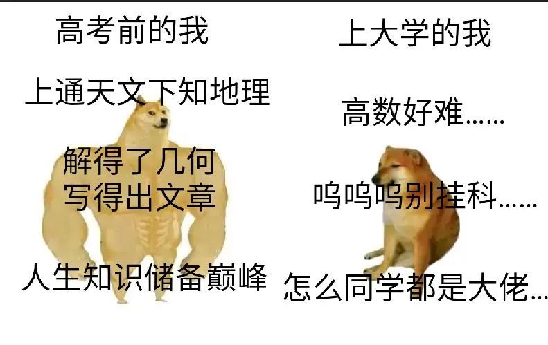 高考结束的那天晚上, 你选择去做什么?