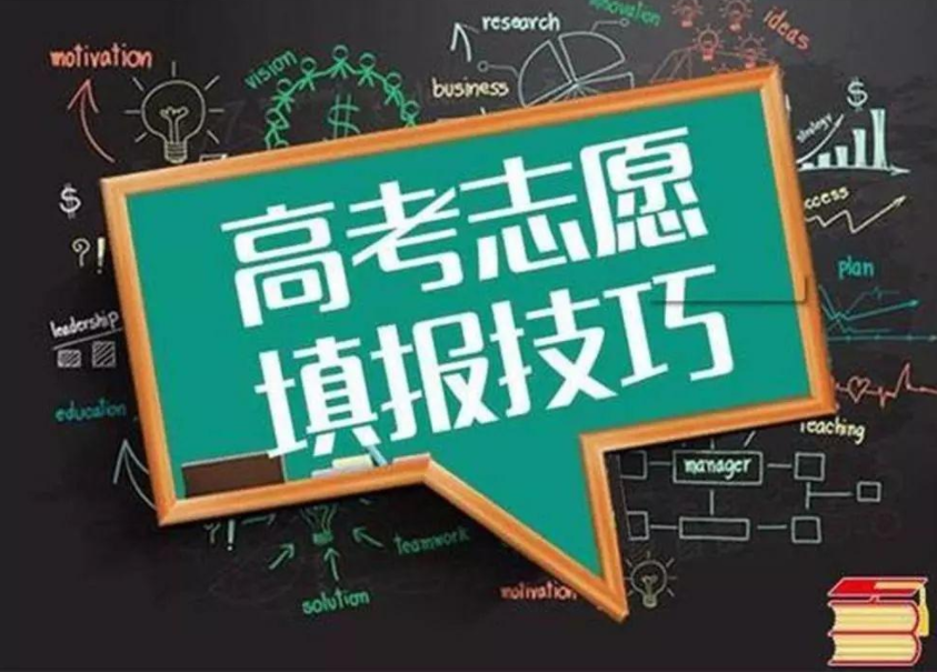 考生报考志愿找名师? 知道了名师的真实学历, 我笑出了鹅叫声