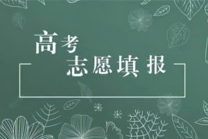 【志愿专题】2018-20年上海市高校在沪录取分数线及志愿填报建议