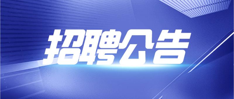 2021盐城市亭湖区教育局 年薪制教师招聘