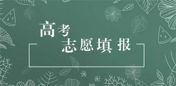 高考本科分数“边缘户”怎么报志愿?上本科还是上专科?