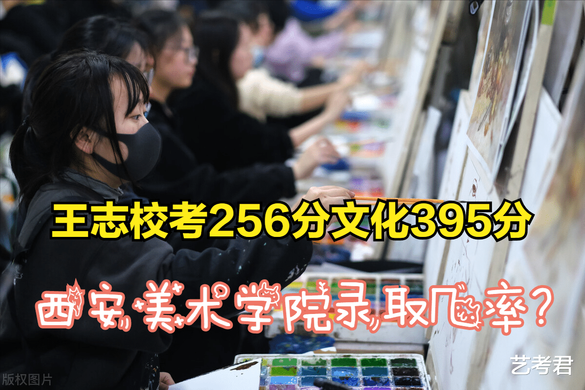 校考256分文化395分西安美术学院录取几率有多大? 志愿10个详解