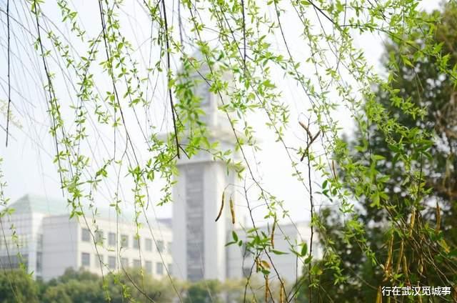 武汉的一些高校太有特色了, 看完好想再来武汉读一次大学