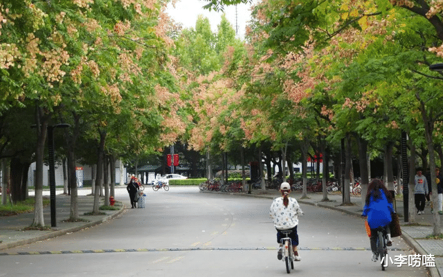 江苏这两所师范大学, 师资雄厚, 就业好, 适合低分考生捡漏