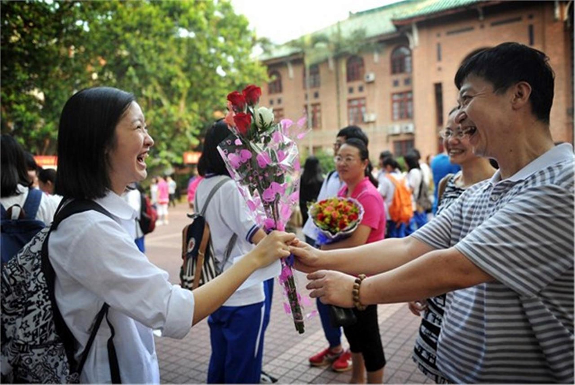 河北高考一分一档表出炉, 616分成“名校坎”, 多数学生是白折腾