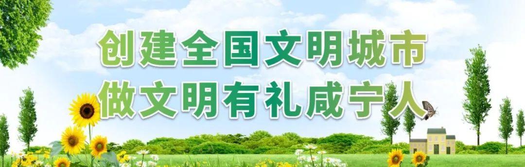 2021年咸宁中考志愿填报资格线公布