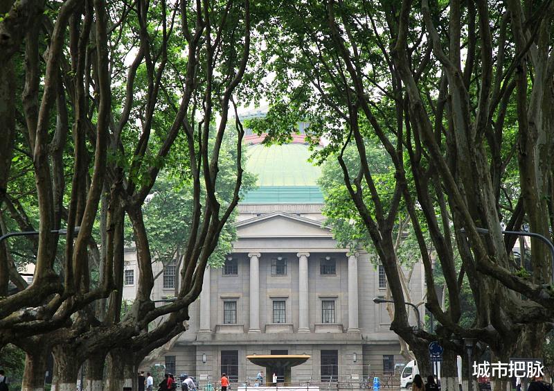 上海科技大学: 看了东南大学才知道, 中上985轻易不能撼之