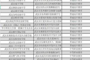 @初中毕业生注意, 2021年武汉民办高中阶段学校名单发布