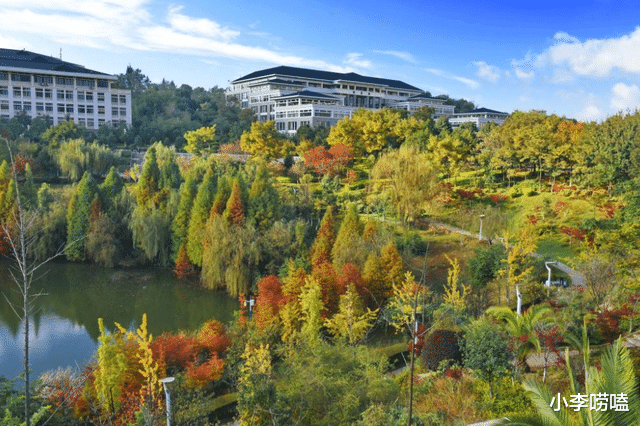 我国很奇怪的高校, 专科的时候被称为大学, 升本后却改名为了学院