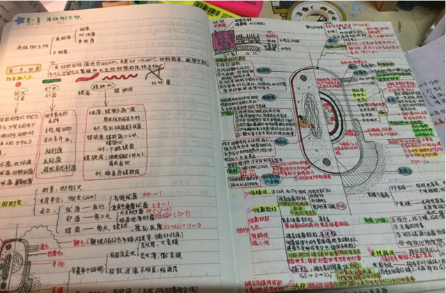 高考之后“学霸笔记”热销, 有人不惜花高价购买, 一本笔记值得吗