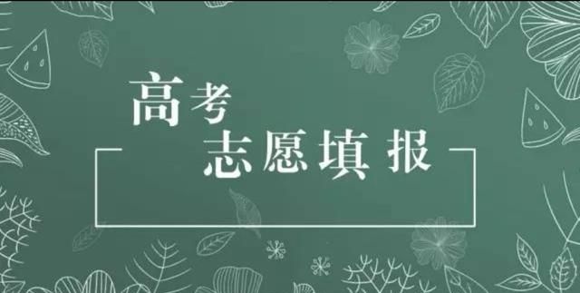 一所普通本科院校,多地录取分数仅次清北,反映出志愿填报新倾向